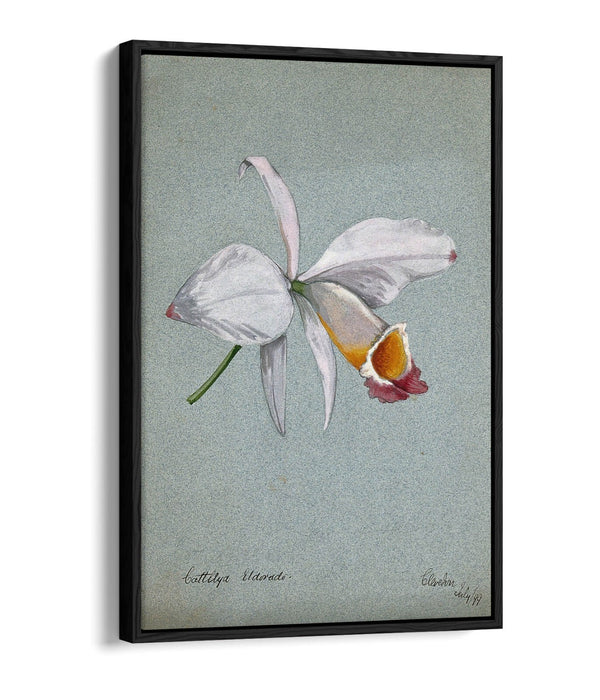 AN ORCHID WATERCOLOUR ILLUSTRATION HOME DECOR FLOAT EFFECT CANVAS WALL ART PRINT