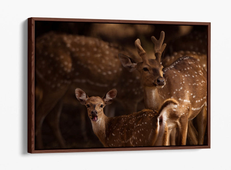 Canvas Wall Art - Deer Standing Together Float Effect Premium Bedroom Decor