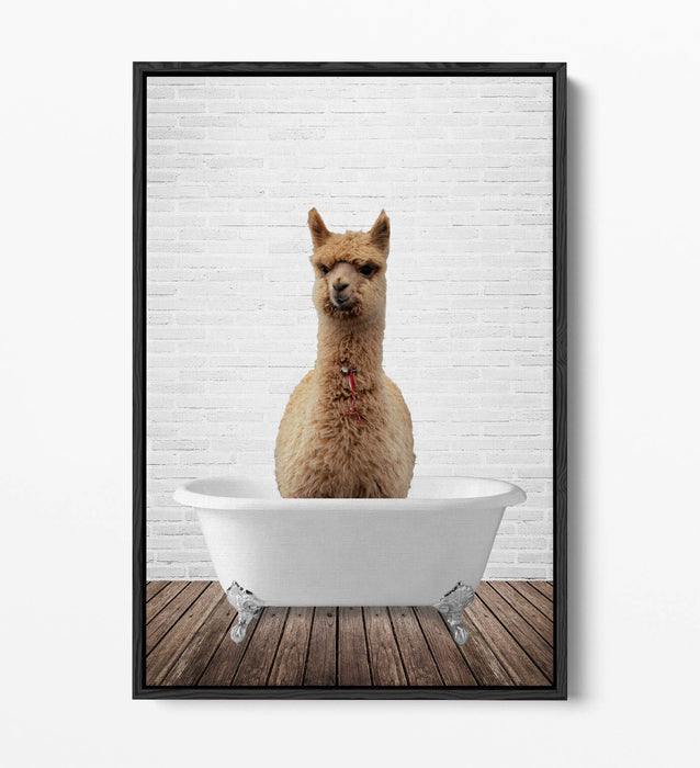 LLAMA IN BATHTUB -QUIRKY BATHROOM FLOAT EFFECT CANVAS WALL ART PIC PRINT