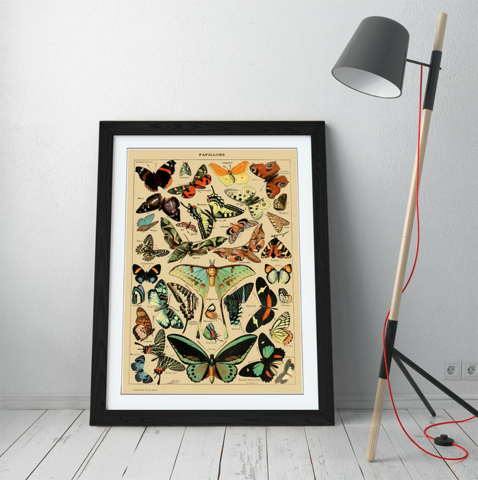 VINTAGE BUTTERFLIES ART POSTER RETRO -FRAMED WALL ART PICTURE PRINT