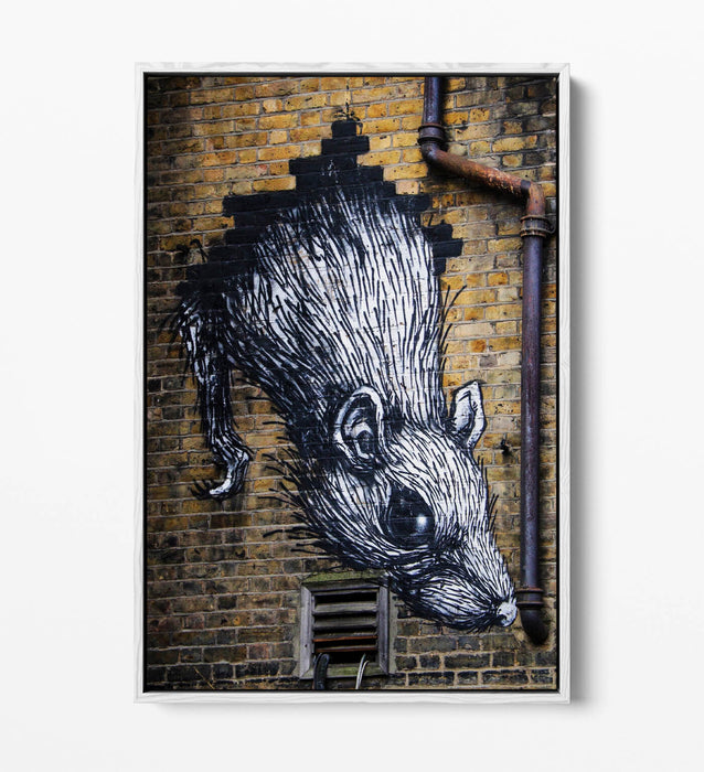 Rat Wall Art - Urban Graffiti Canvas Wall Art With Float Effect Frame