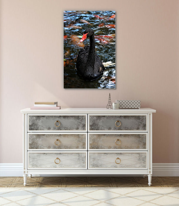 Canvas Wall Art - Black Swan Artwork | 30mm Deep Frame | Premium Vibrant Print