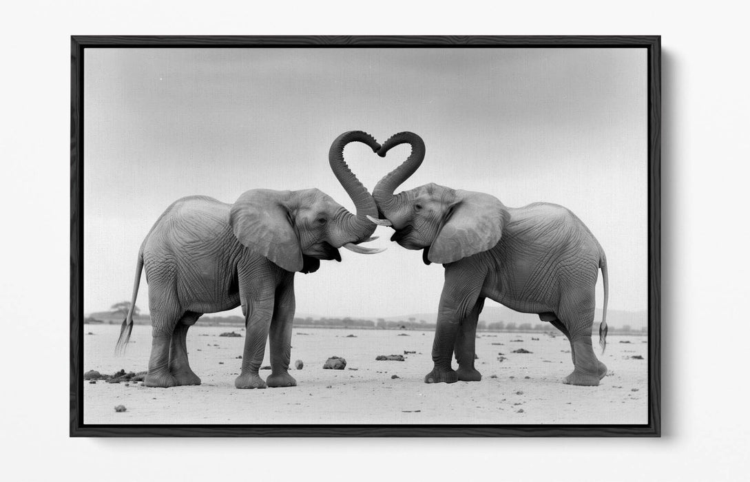 Canvas Wall Art - Black White Elephants Love Heart Float Effect Print