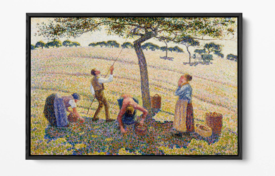 Float Effect Canvas Art – Apple Harvest by Camille Pissarro | Premium 30mm Deep Frame