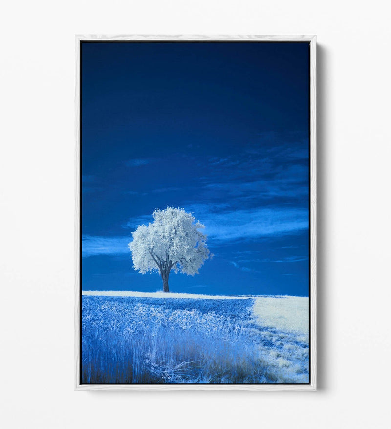Canvas Wall Art – Abstract White Tree Painting in Blue Landscape | Float Effect Canvas Print