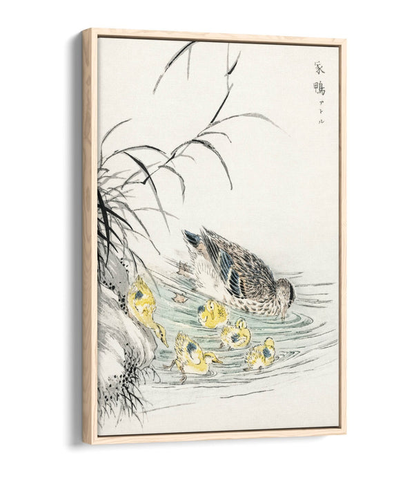 Canvas Wall Art Print - Duck and Ducklings Float Effect on Premium 30mm Deep Frame