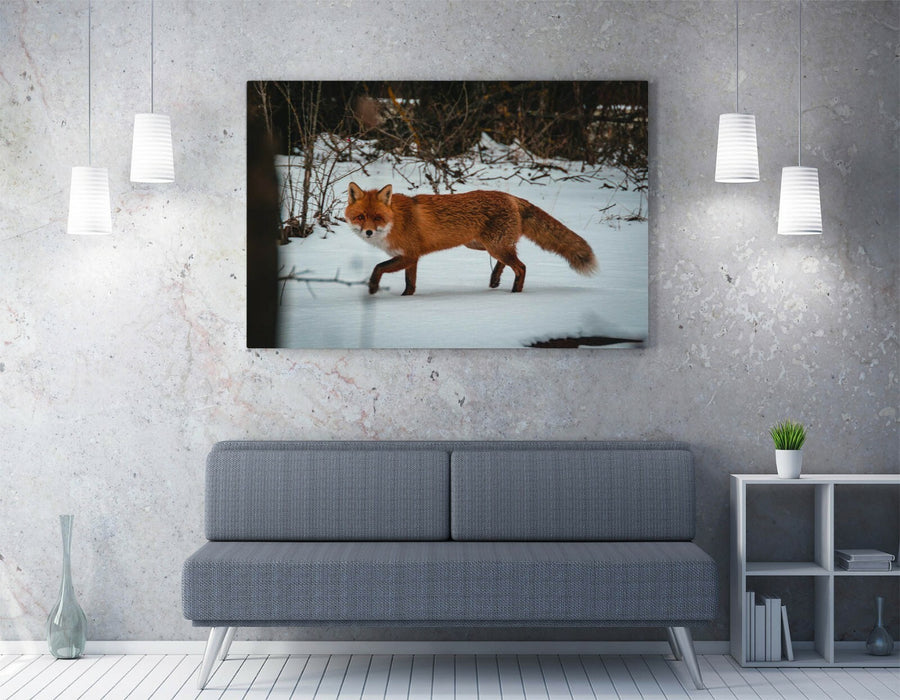 Wildlife Canvas Art – Red Fox In Snowy Landscape | Premium Ready To Hang Print