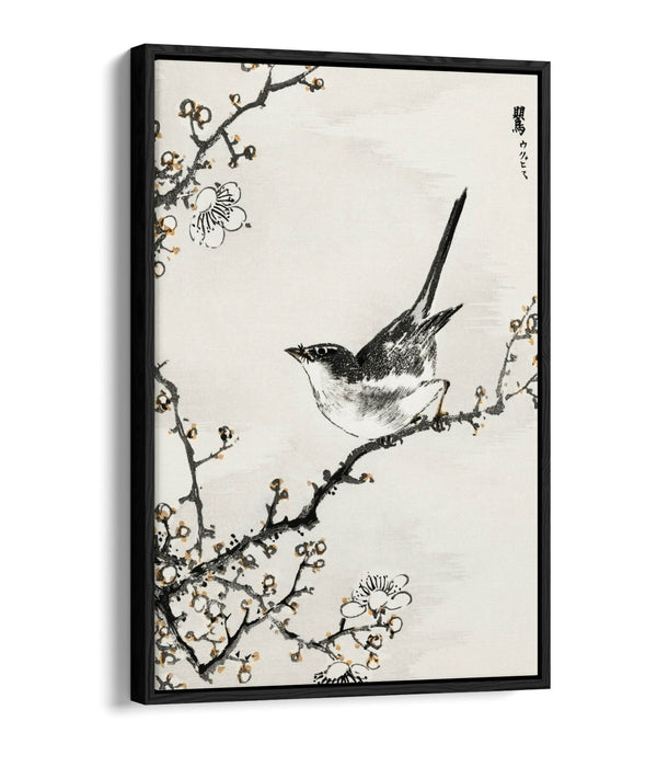 Float Effect Canvas Art - NUMATA KASHU Bush Warbler & White Plum Tree Print