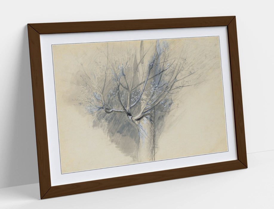 Framed Wall Art - John Ruskin Budding Sycamore Art With Woodgrain Frame