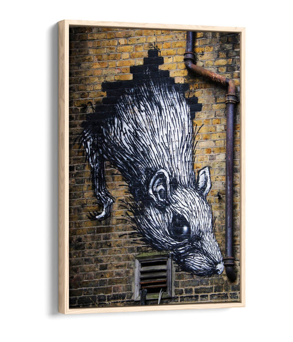 Rat Wall Art - Urban Graffiti Canvas Wall Art With Float Effect Frame