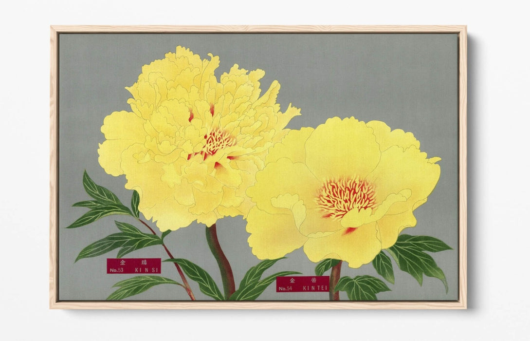 Vintage Canvas Wall Art – Peony Blossom Print with Float Effect Frame, Handmade