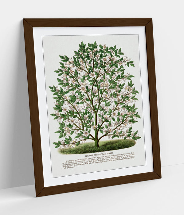 Magnolia Tree Wall Art – Framed Botanical Lithograph Print on Matte Paper