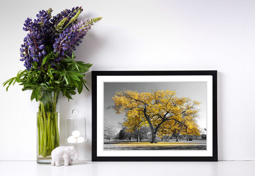 Framed Wall Art Poster Large Tree Yellow Leaves Black White Print - Matte Paper