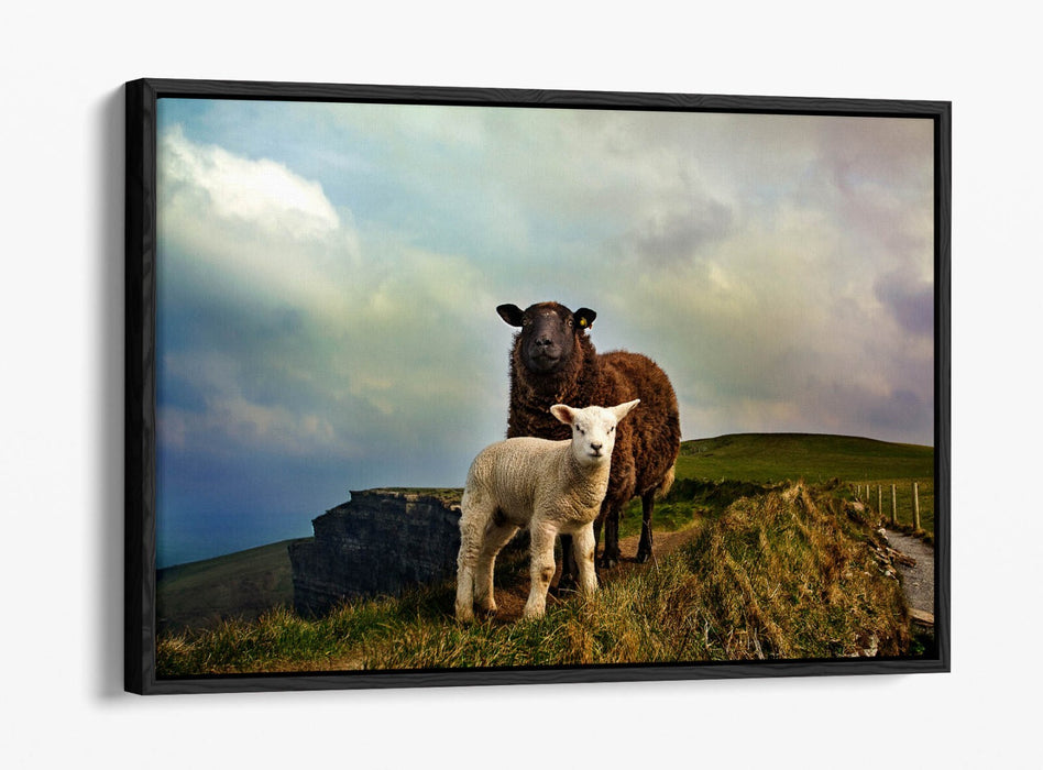 2 IRISH SHEEP MOUNTAIN LANDSCAPE HOME DECOR -FLOAT EFFECT CANVAS WALL ART PRINT