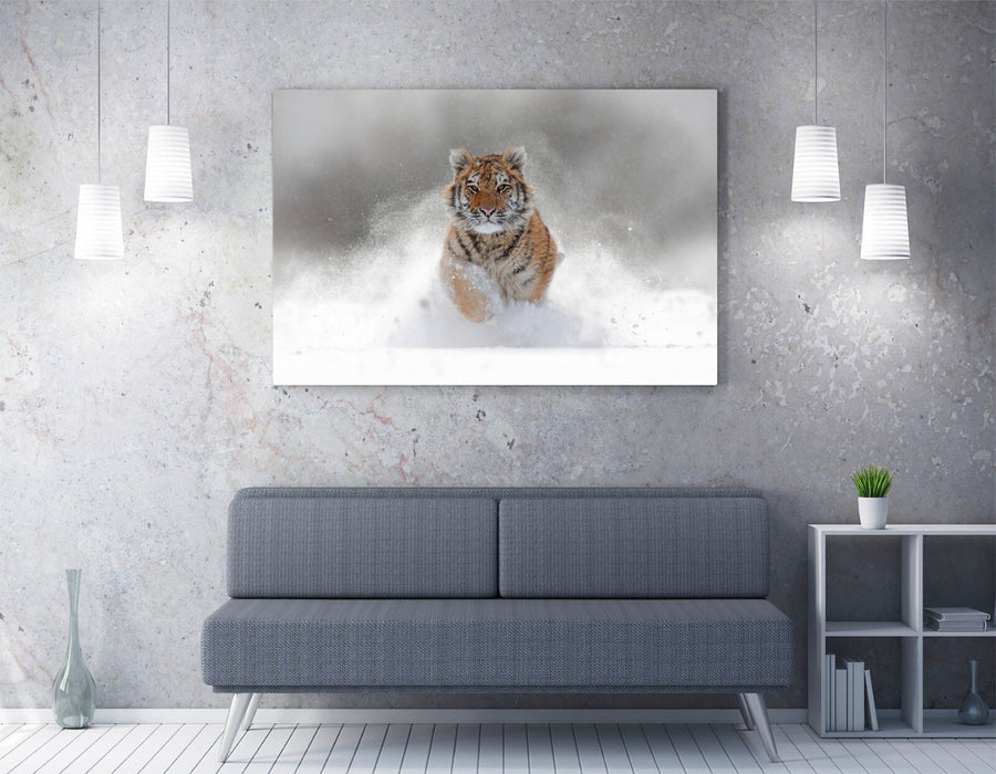 Tiger Canvas Wall Art – Wildlife Canvas Print | Handmade Ready To Hang Artwork