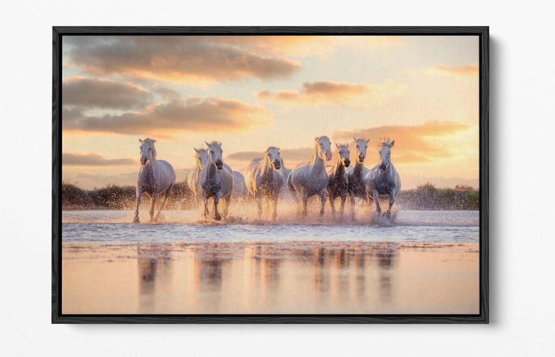 Canvas Wall Art - Wild White Horses Running On Water | Float Effect Canvas Print