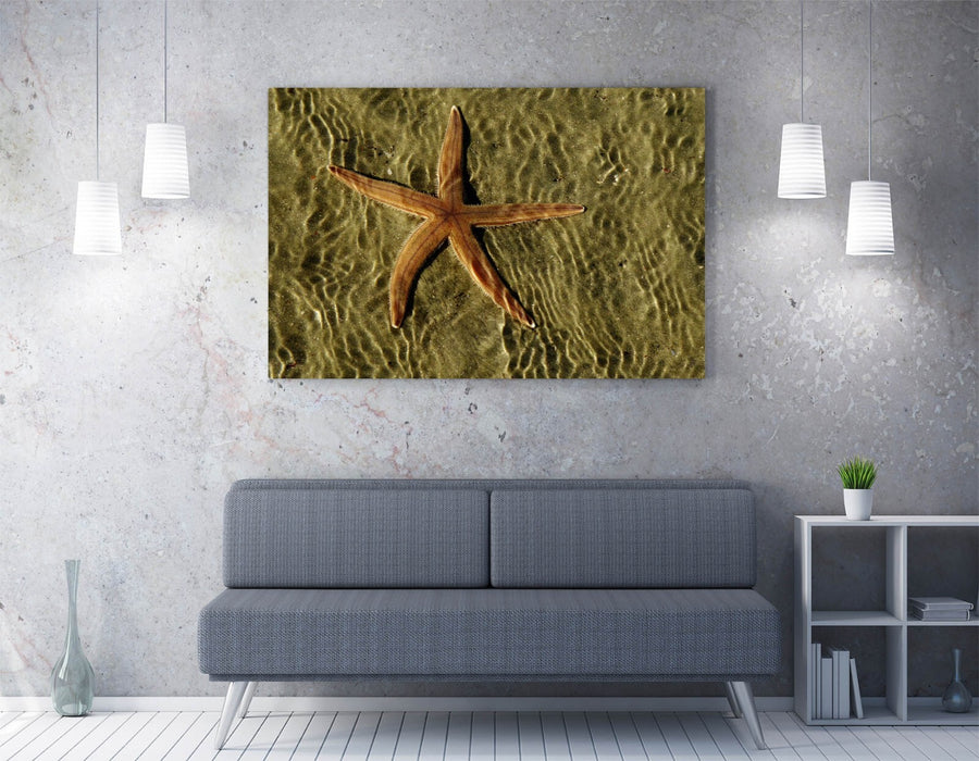 Canvas Wall Art Featuring Starfish - Handmade Coastal Canvas Artwork With Vibrant Color