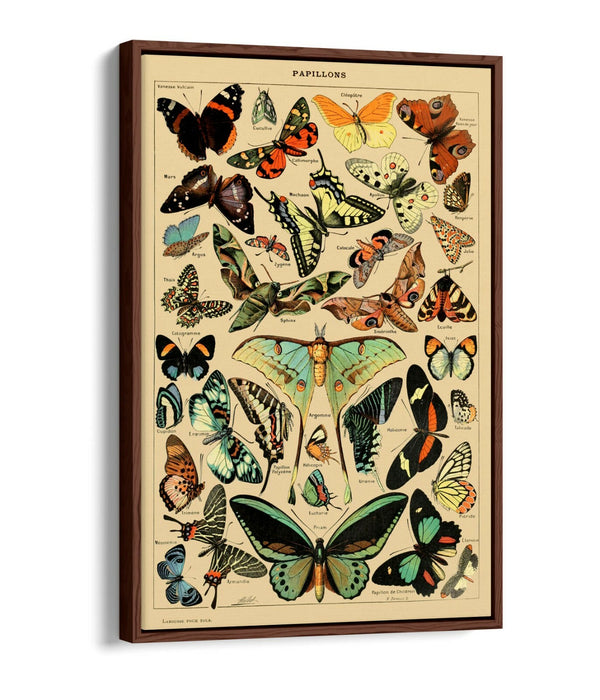 VINTAGE BUTTERFLIES ART POSTER RETRO -FLOAT EFFECT CANVAS WALL ART PRINT