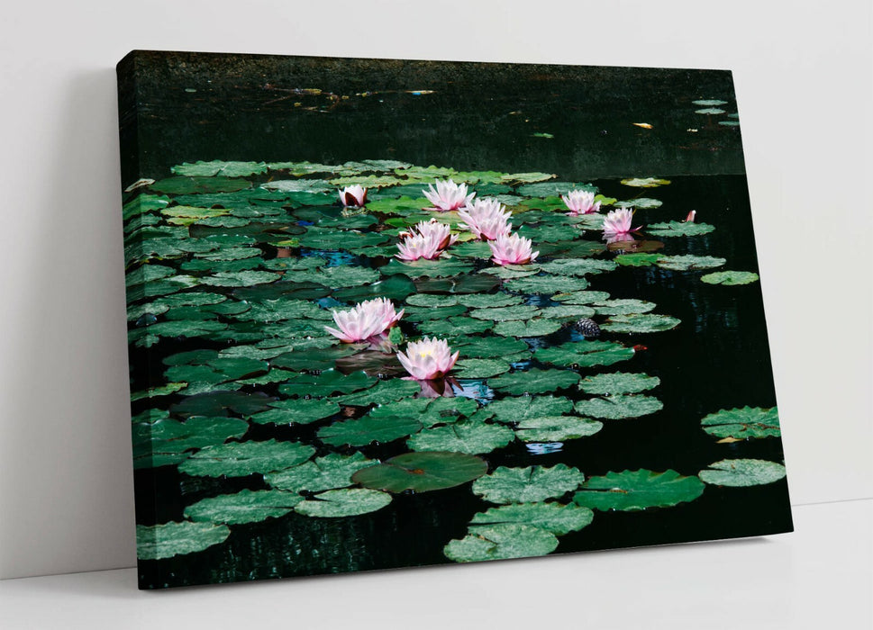 WATERLILIES FLORAL PHOTOGRAPHY -CANVAS WALL ART PRINT ARTWORK 30MM DEEP FRAMED
