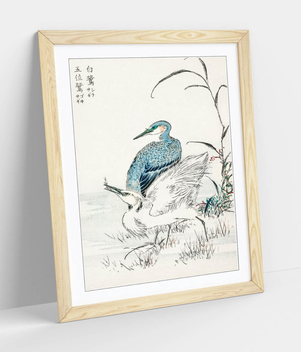 Framed Wall Art – Numata Kashu Night Heron & Little Egret Bird Print Poster