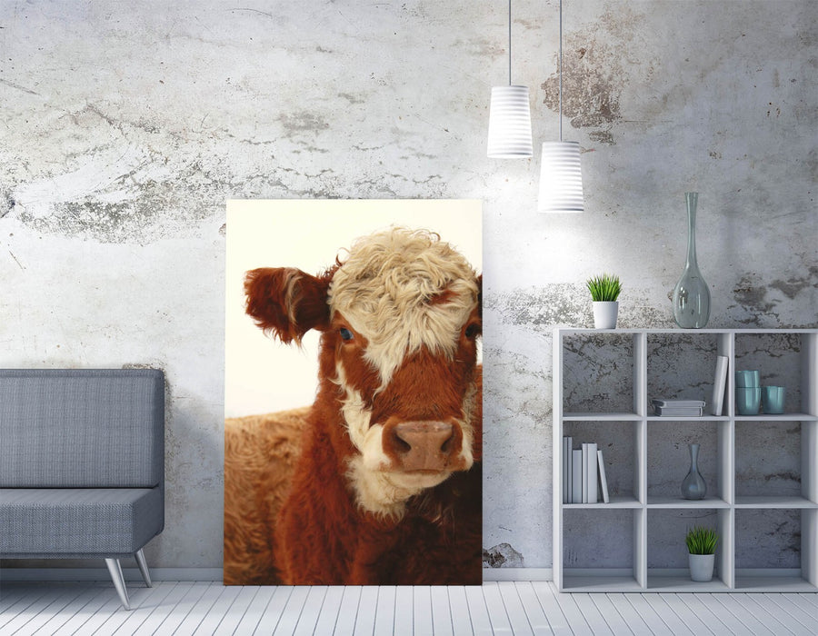 Cow Canvas Wall Art – Brown White Cow Portrait Painting | Ready To Hang