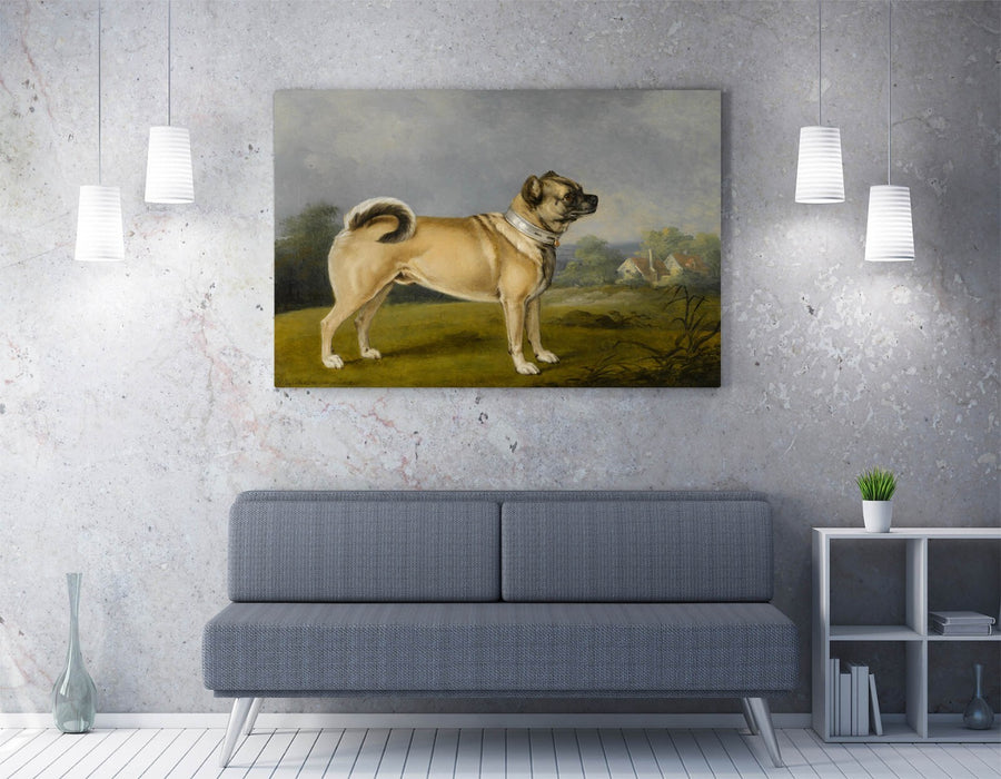 Canvas Wall Art - Henry Bernard Chalon Favourite Pug Dog Print, Ready to Hang