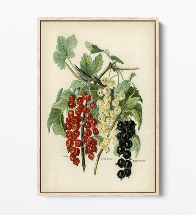 Canvas Art Print - Vintage Black Naples Float Effect Handmade Wall Art UK