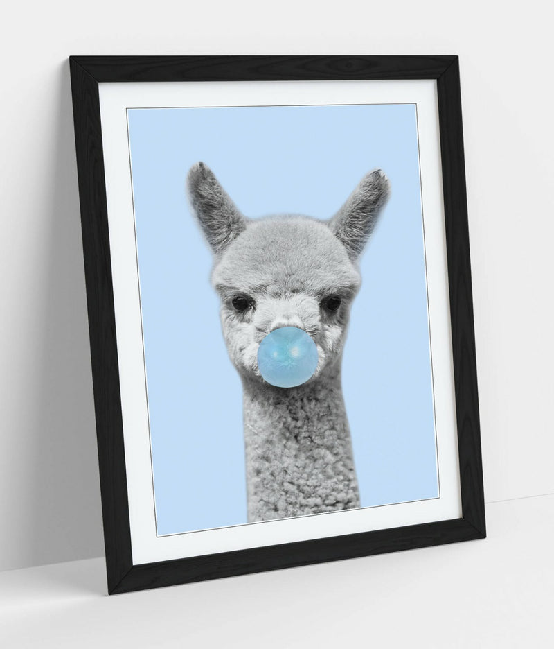 Framed Art Poster – Alpaca Black White Baby Blue Bubblegum Color Wall Art Print