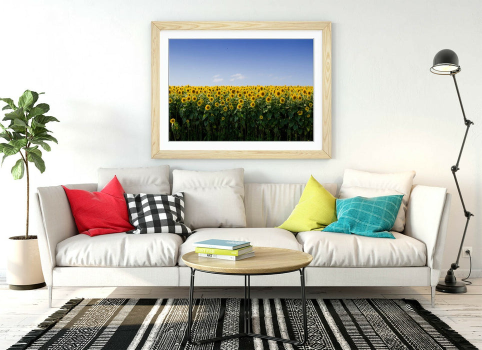 SUNFLOWER FIELD PHOTOGRAPHY -FRAMED POSTER WALL ART PRINT ARTWORK