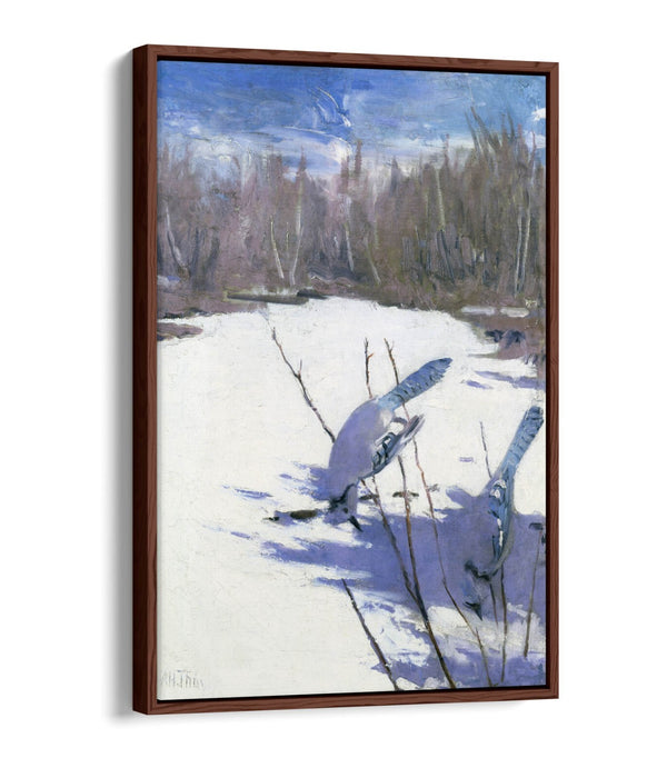 Canvas Art Print – Blue Jays In Winter Float Effect On MDF Frame, Ready To Hang
