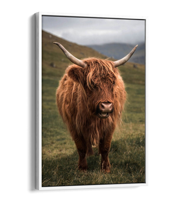 Canvas Wall Art - Highland Cow Print With Floating Canvas Frame | UK Made Home Decor