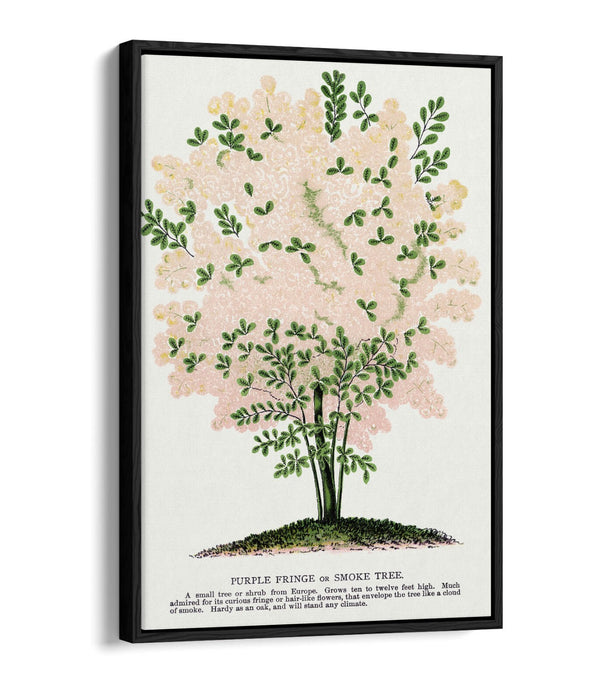 Float Effect Canvas Art – Purple Fringe Tree Lithograph Print on Custom Deep Frame