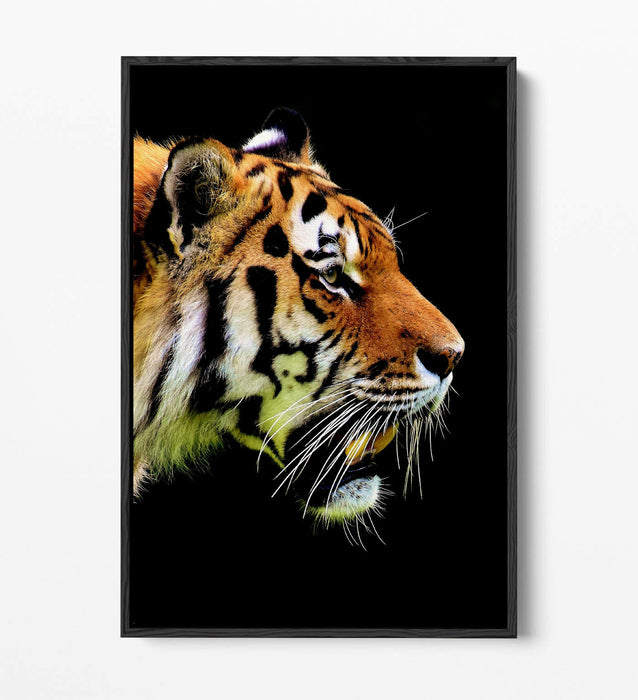 TIGER HEAD -FLOAT EFFECT CANVAS WALL ART PIC PRINT- BLACK