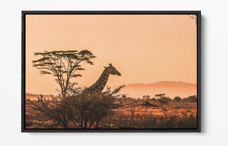 Float Effect Canvas Art - Giraffe Canvas Print on MDF Frame | Premium Satin Finish