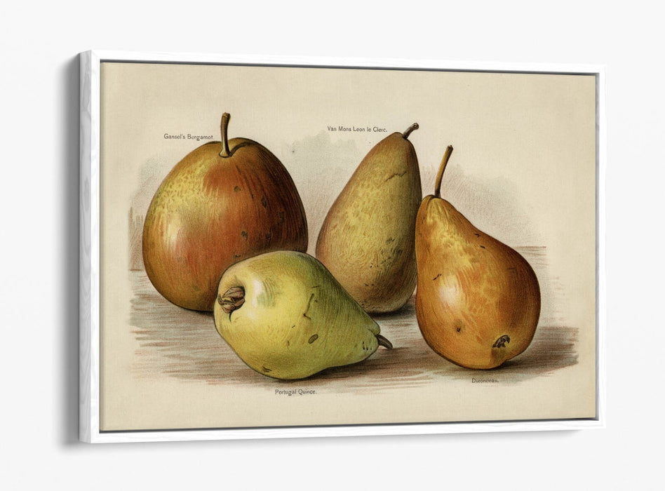 Canvas Wall Art | Handmade UK Canvas With 30mm Deep Frame & Scratch Resistant Premium Varnish