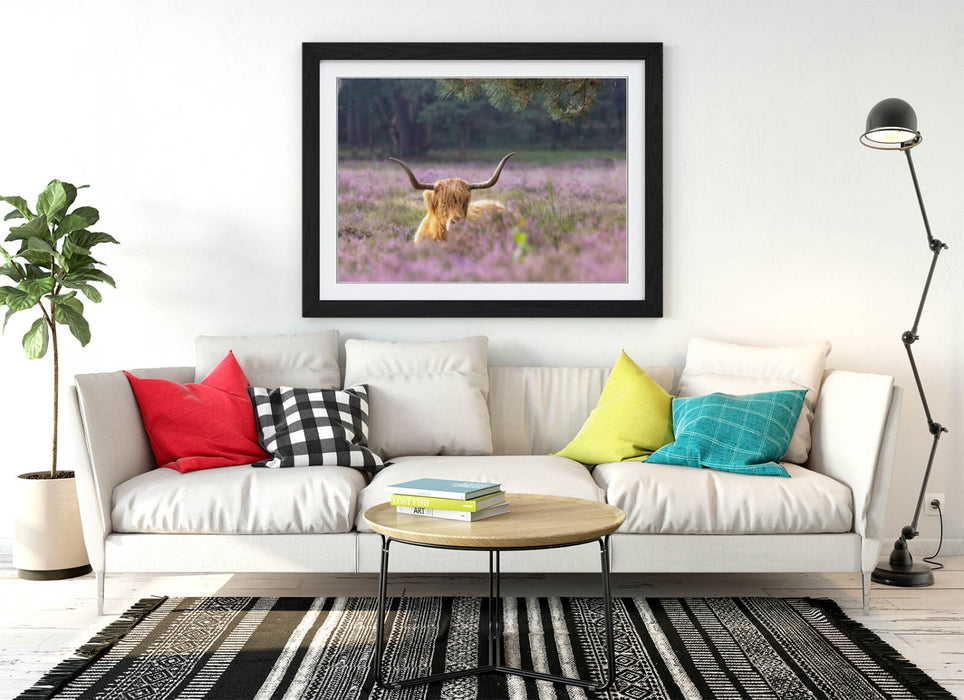 Highland Cow Wall Art – Framed Rustic Animal Art | Purple Flower Decor Print