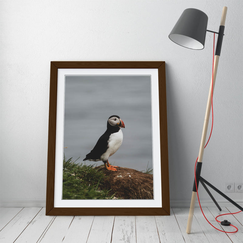 Puffin Wall Art - Framed Cliff Photography Print | UK Handmade Nature Decor