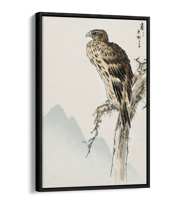Canvas Wall Art - Numata Kashu Black Eared Kite Float Effect Print on Premium Frame
