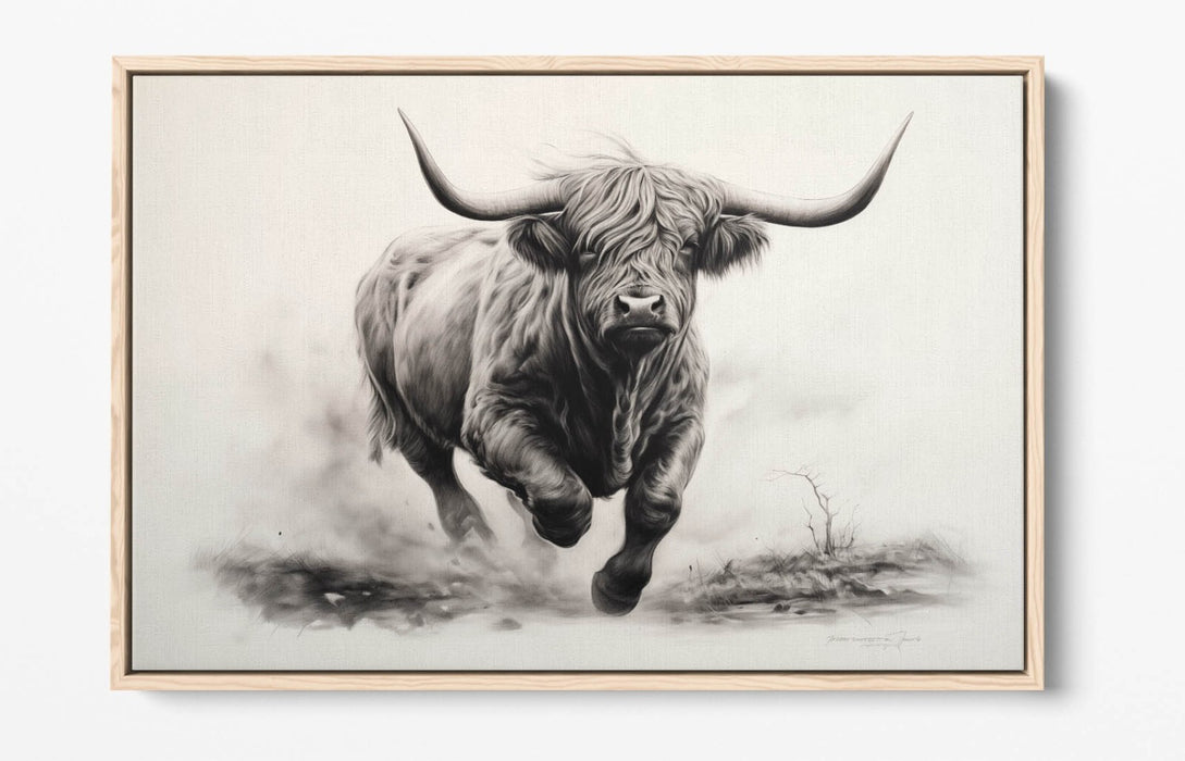 Highland Cow Canvas – Charcoal Sketch Print On Float Effect Canvas Wall Art