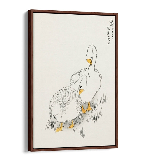 Canvas Wall Art Print – Duck And Young Grass On Float Effect Canvas Frame