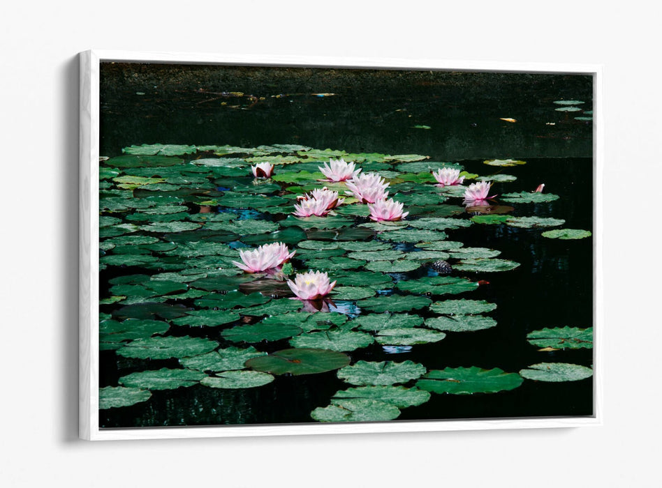WATERLILIES FLORAL BOTANICAL PHOTOGRAPHY -FLOAT EFFECT CANVAS WALL ART PIC PRINT