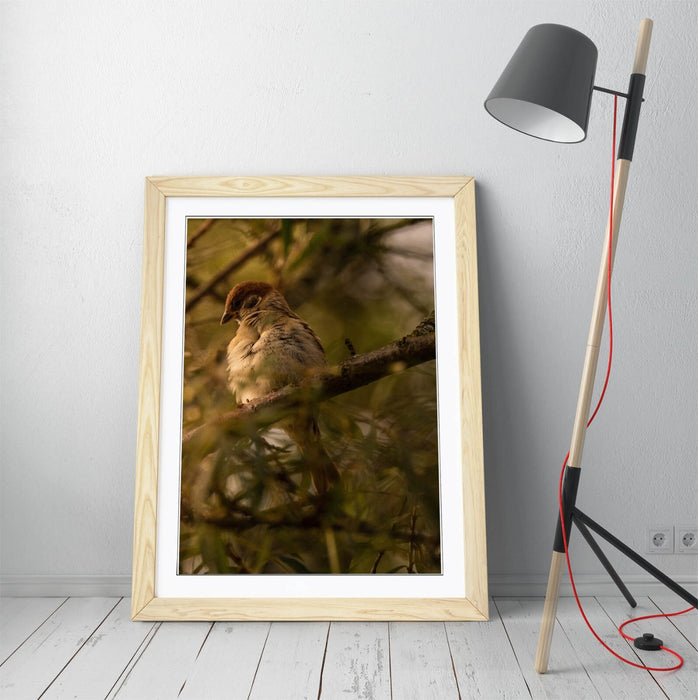 Bird Wall Art - Framed Tree Print With Woodgrain Frame | Bedroom Wall Decor
