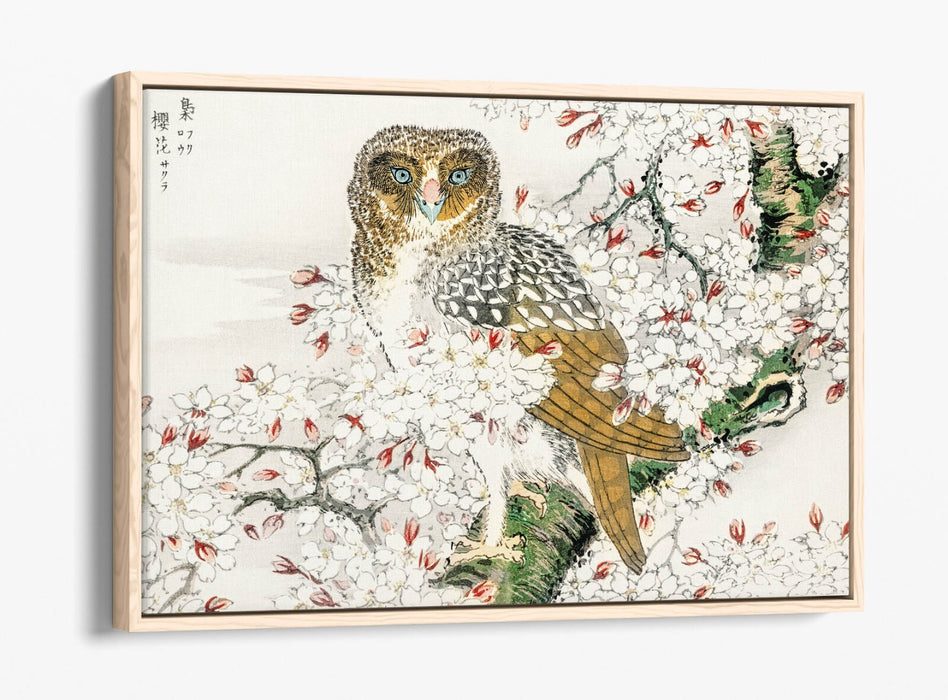 Canvas Wall Art Print – Numata Kashu Owl & Cherry Blossom Float Effect
