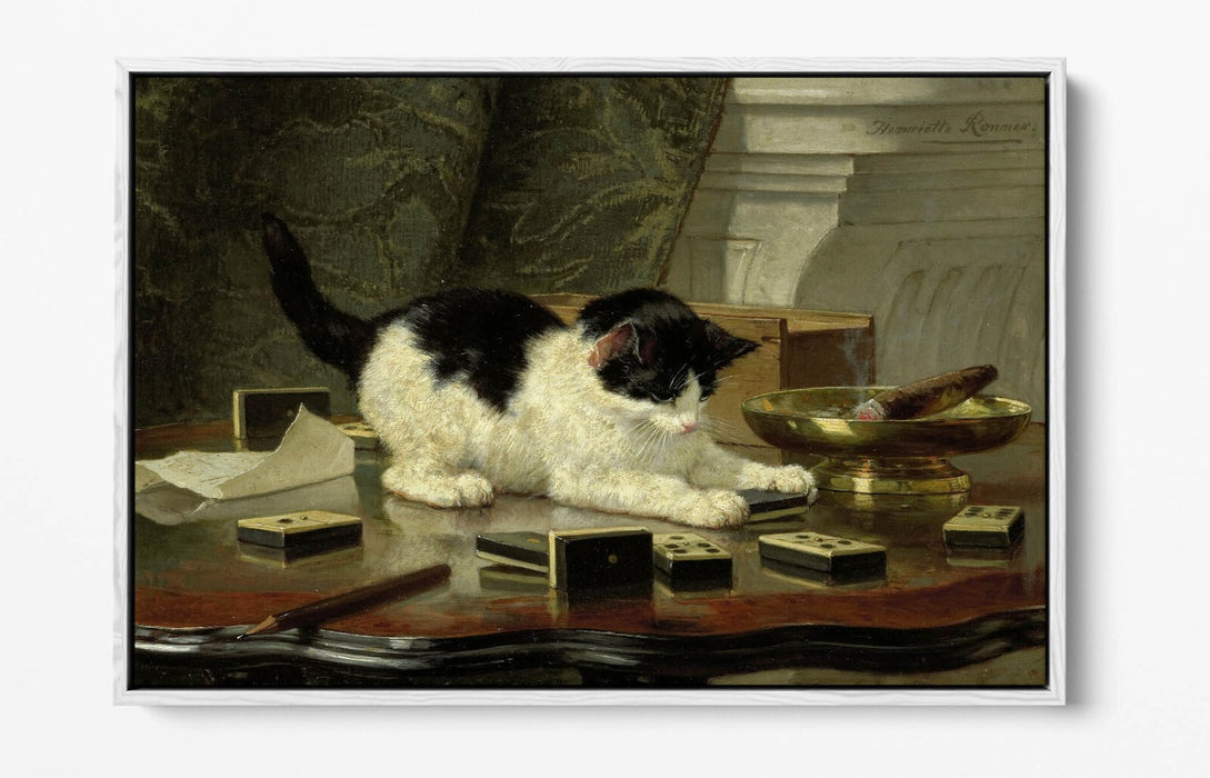 Float Effect Canvas Art - Handmade Kitten Canvas Print With Premium Float Frame