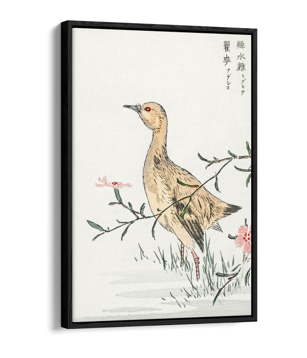Float Effect Canvas Art – Eastern Redshank & Pink Flower | Premium Wall Decor