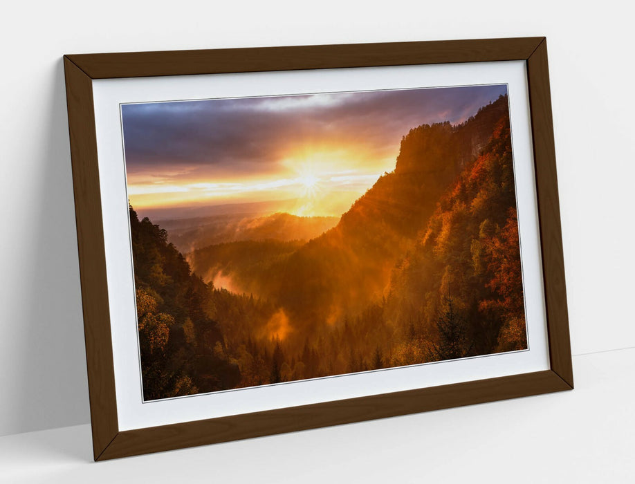 Framed Art Poster - Forest Sunset Print With Natural Wood Frame, Yellow Purple