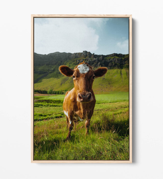 Canvas Wall Art – Brown Cow In Green Field | Handmade Float Effect Frame