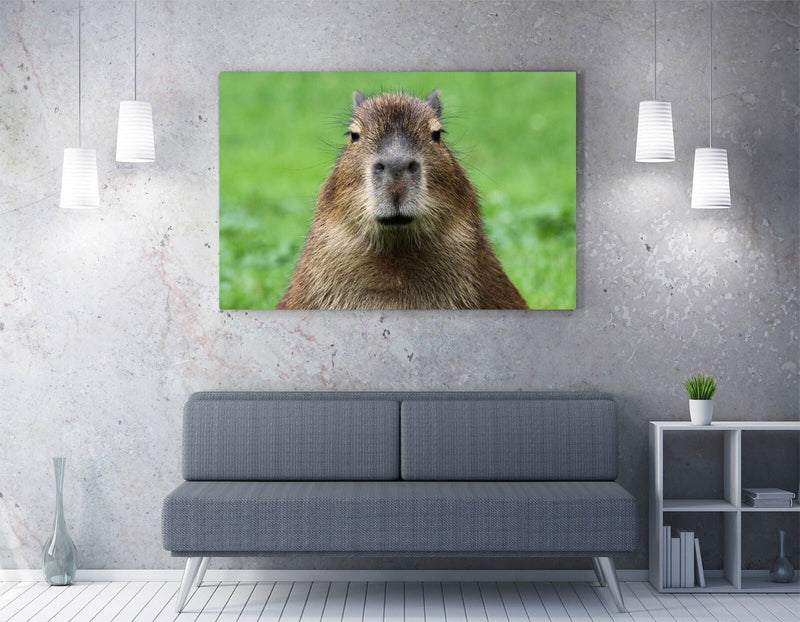 Capybara Wall Art - Funny Bedroom Canvas Print | UK Handmade Vibrant Decor