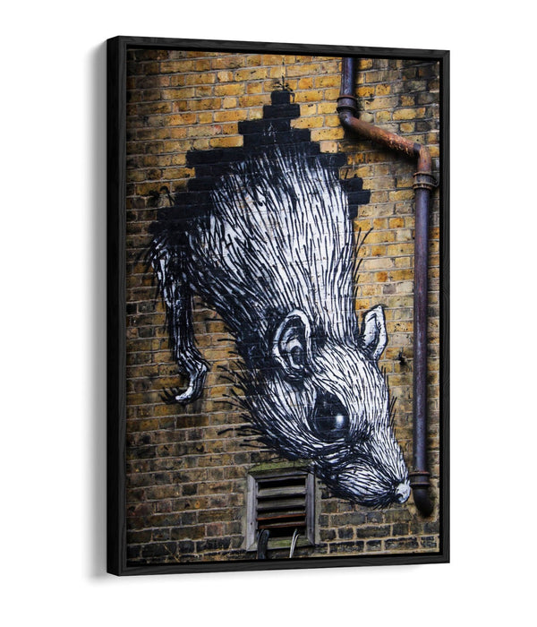 Rat Wall Art - Urban Graffiti Canvas Wall Art With Float Effect Frame