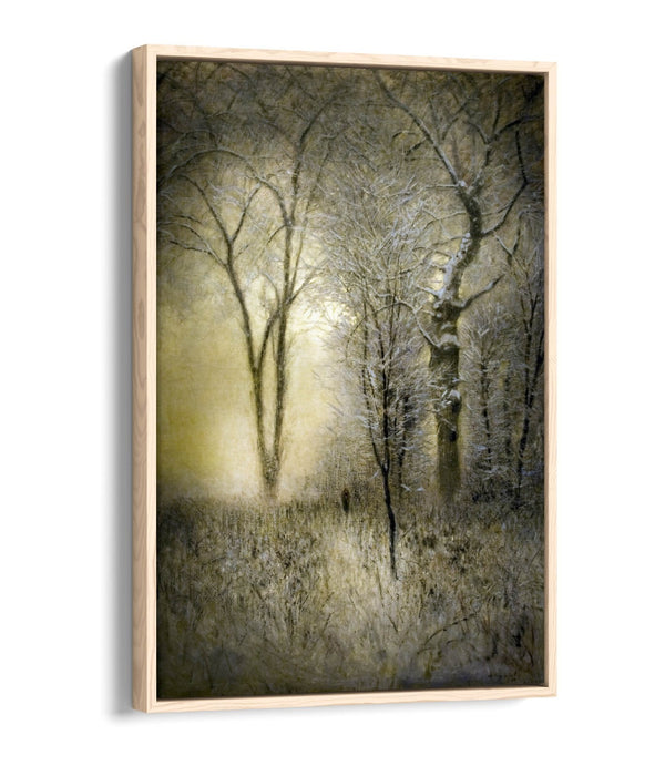 Canvas Wall Art – Winter Landscape Art with Float Effect Canvas Print